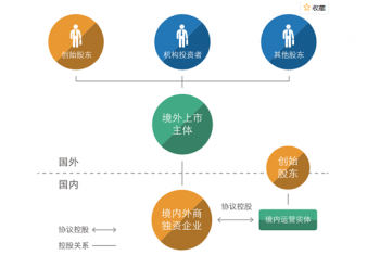 VIE结构案例分享