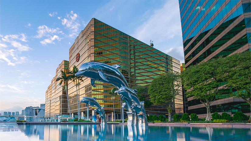 香港公司转股全解析：流程、税费与关键事项