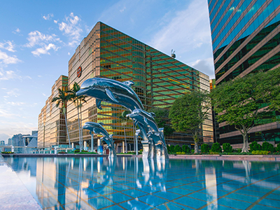 香港公司转股全解析：流程、税费与关键事项