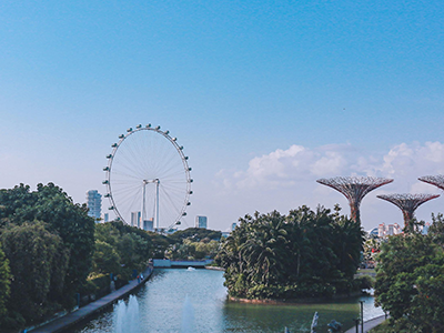 新加坡ECI申报3月31日截止！合规指南及关键事项全解析