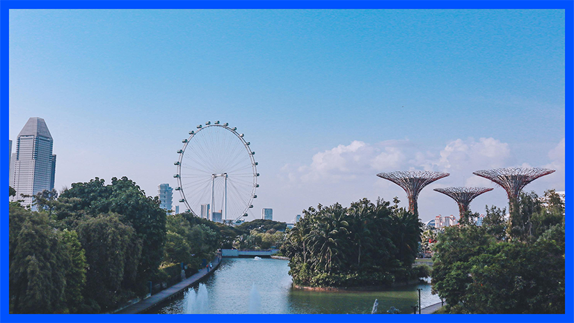 新加坡ECI申报3月31日截止!合规指南及关键事项全解析