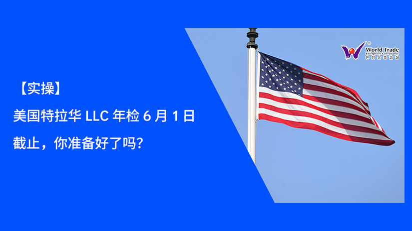 【实操】美国特拉华 LLC 年检 6 月 1 日截止,你准备好了吗?