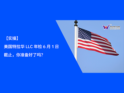 【实操】美国特拉华 LLC 年检 6 月 1 日截止，你准备好了吗？